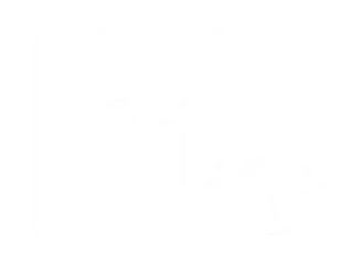 Payment Plans Available