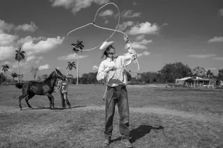 Image Full (No Body)